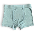 Mint Boys Underwear
