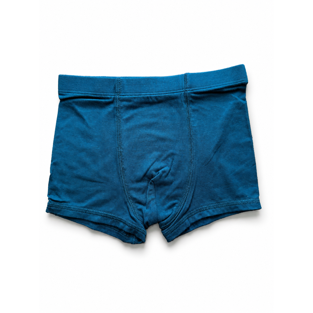 Teal-blue boxer brief from the Solids Boys Underwear 3-pack