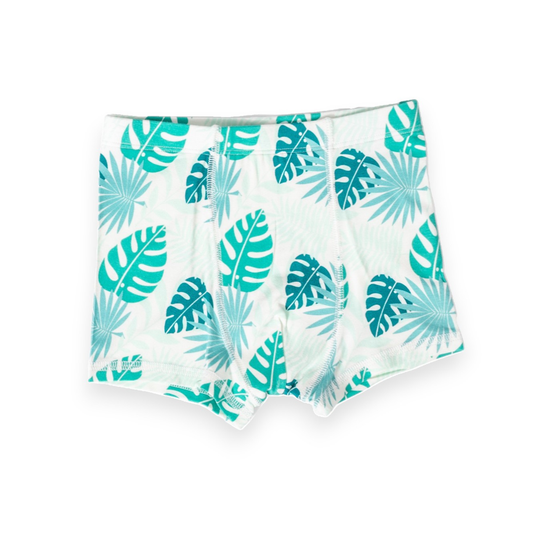 Tropical Boys Underwear 2-pack in multicolor laid flat on a white background